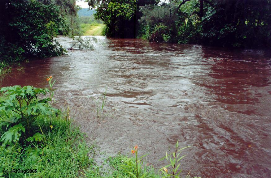 &nbsp our &nbsp creek &nbsp crossing &nbsp